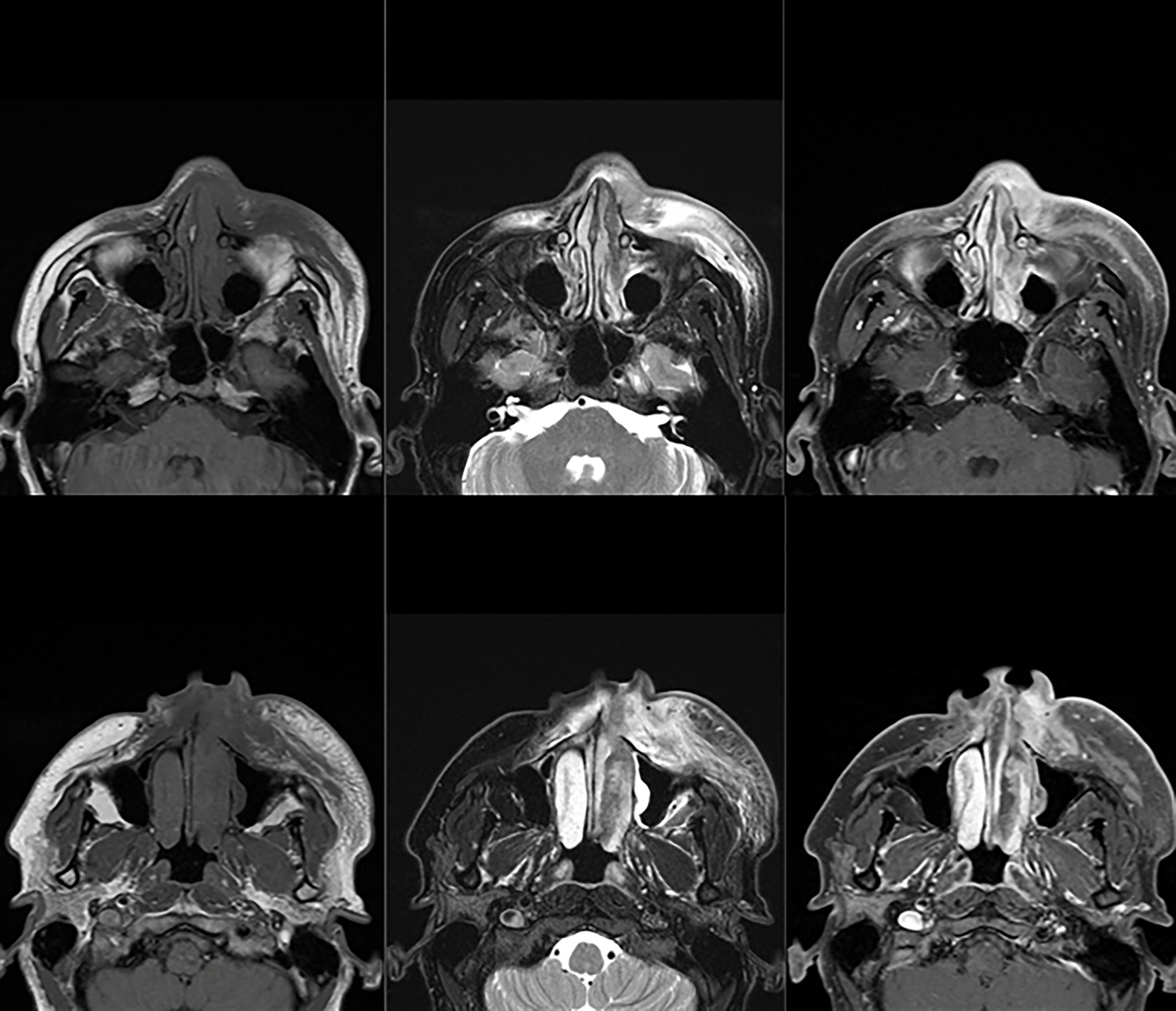 Figure 13: