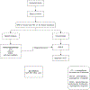 Figure 14: