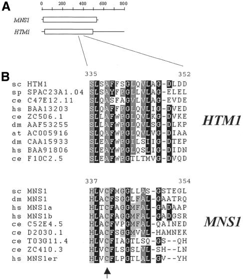 graphic file with name kve08903.jpg