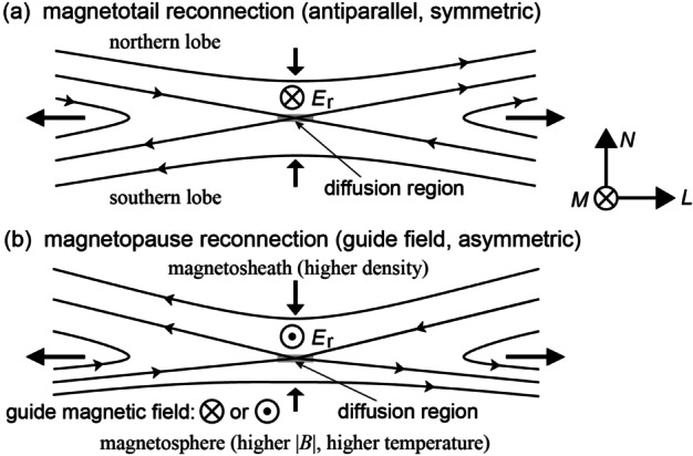 Fig. 1