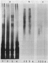 717