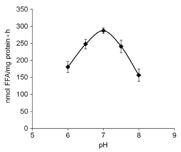 Figure 10.4