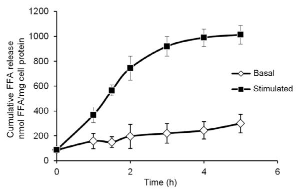 Figure 10.6