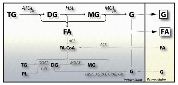 Figure 10.3