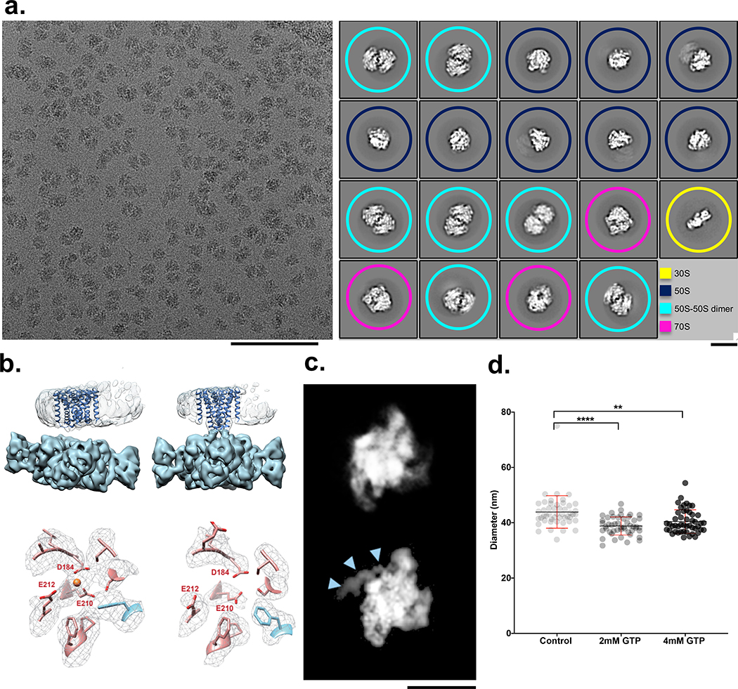 Figure 2: