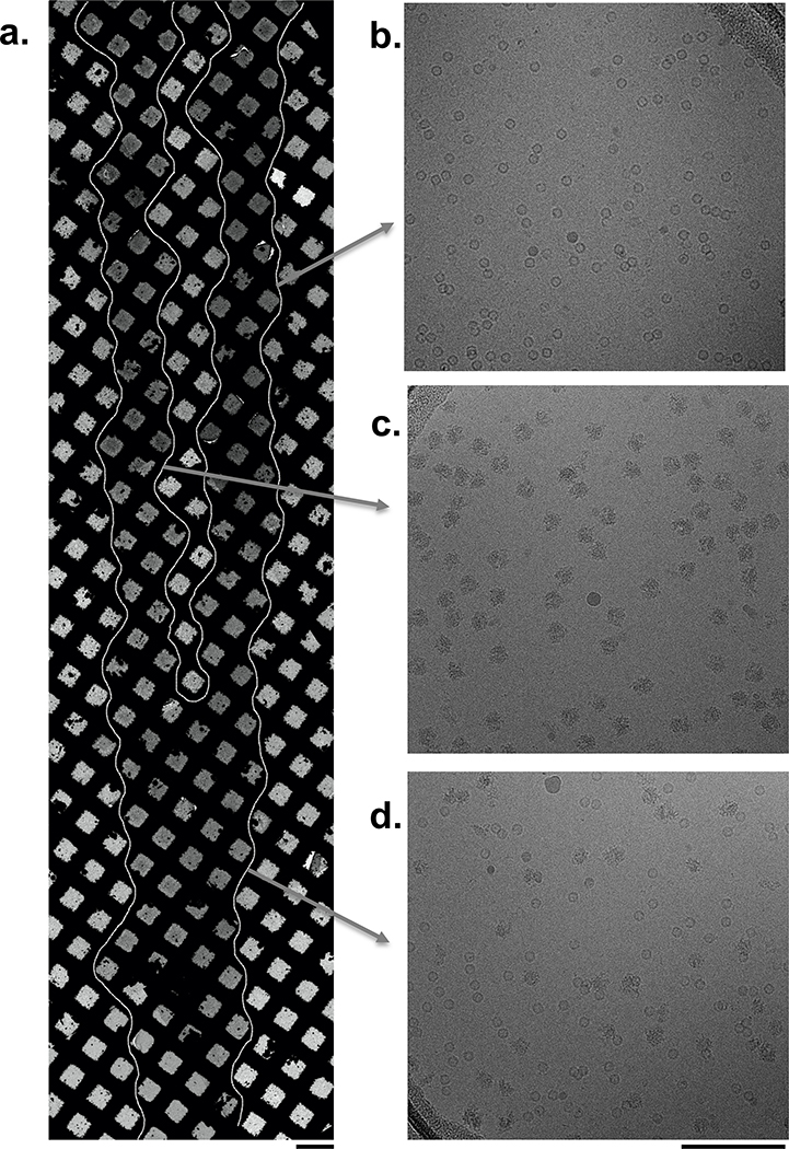 Figure 1: