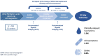 Graphical abstract