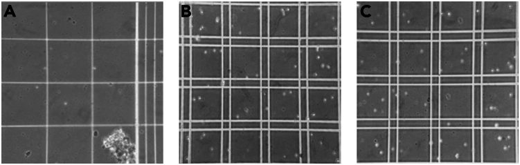 Figure 4