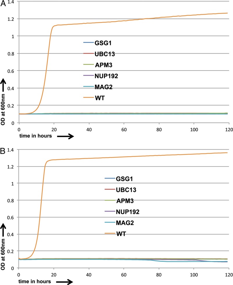 FIG 2