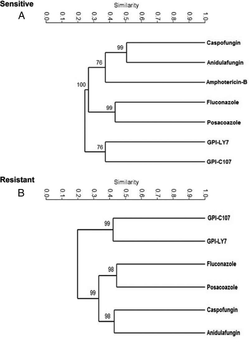 FIG 11