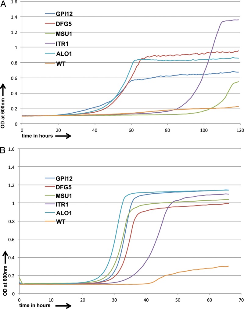 FIG 3