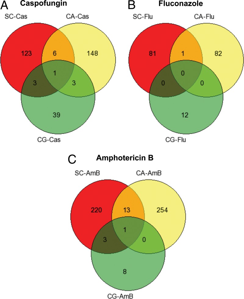 FIG 13