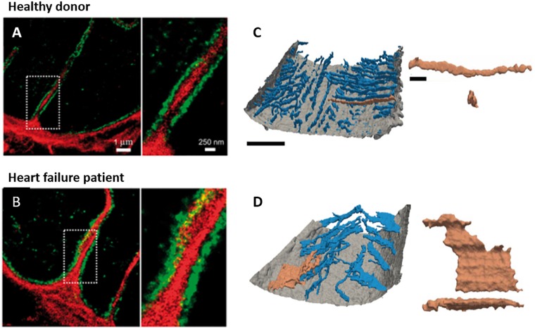 FIGURE 3