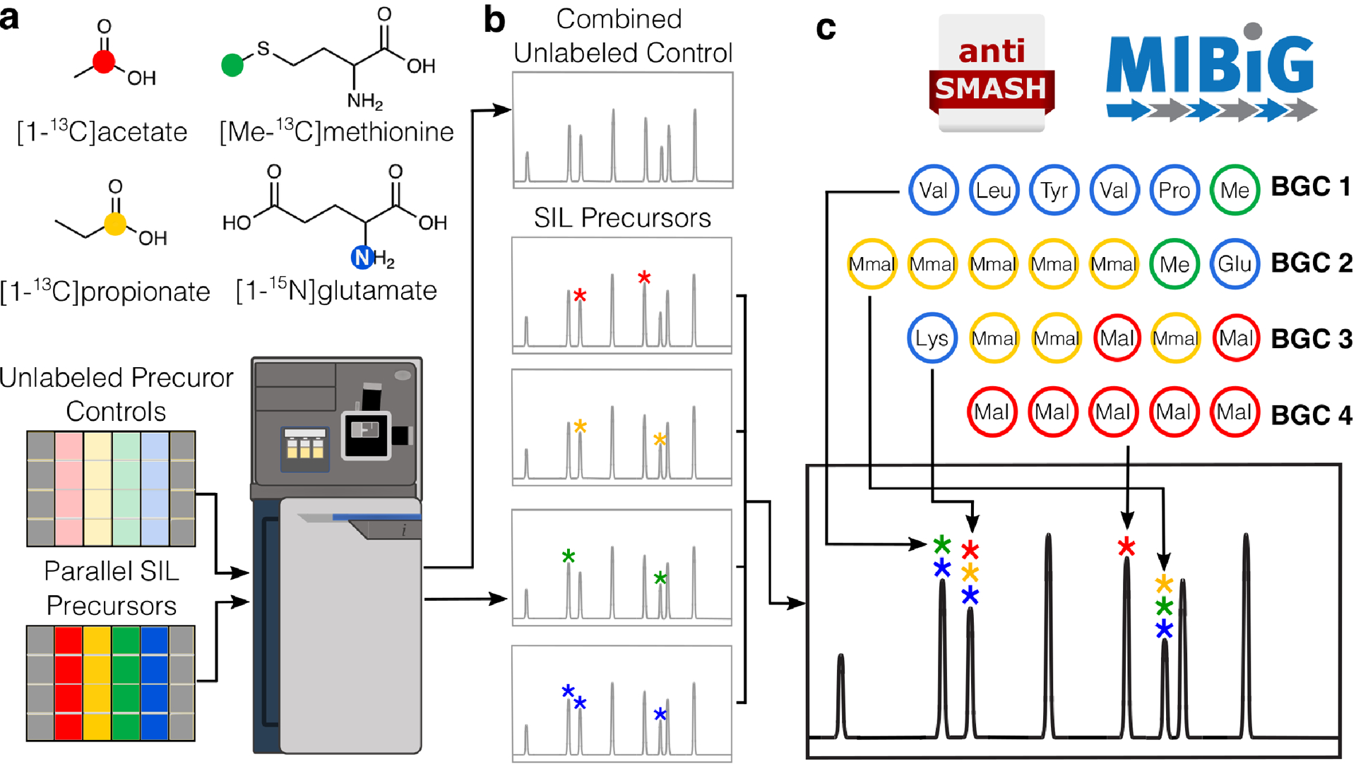 Figure 1: