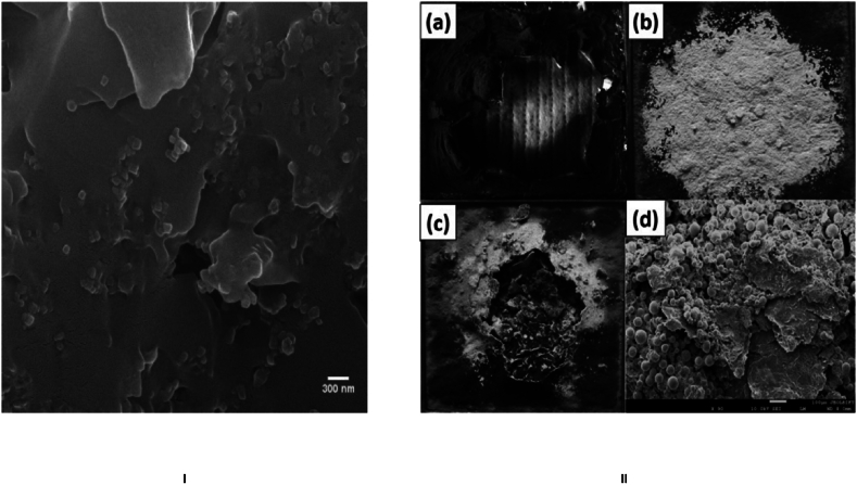 Fig. 13