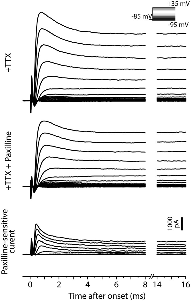 FIGURE 9