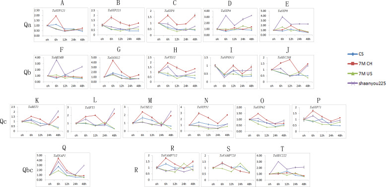 Figure 6