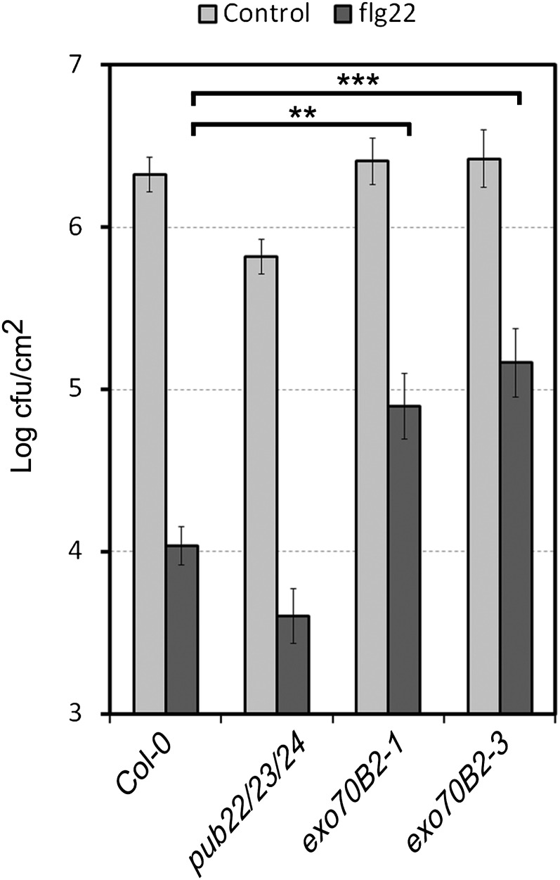 Figure 7.