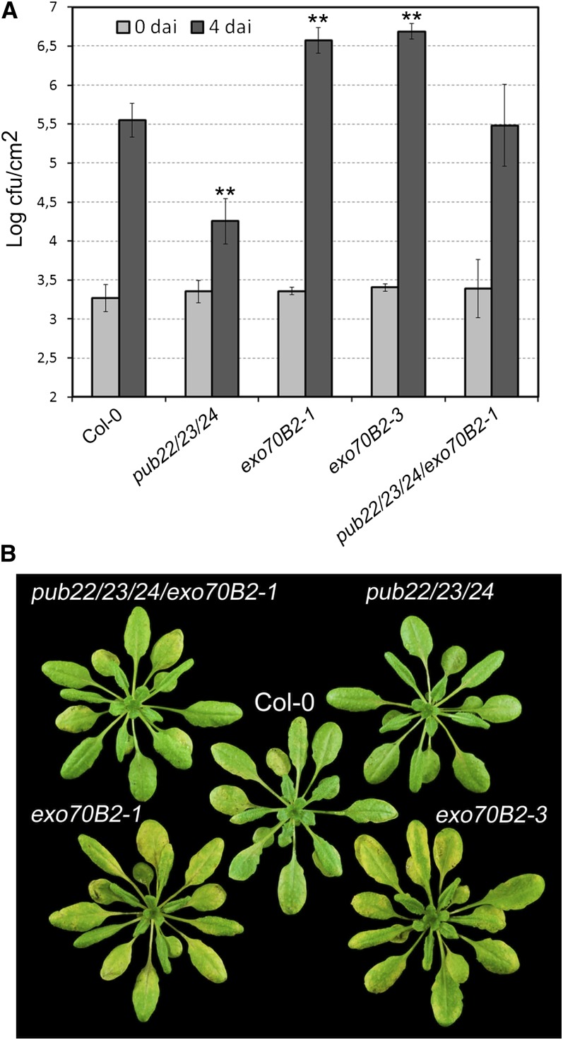 Figure 6.