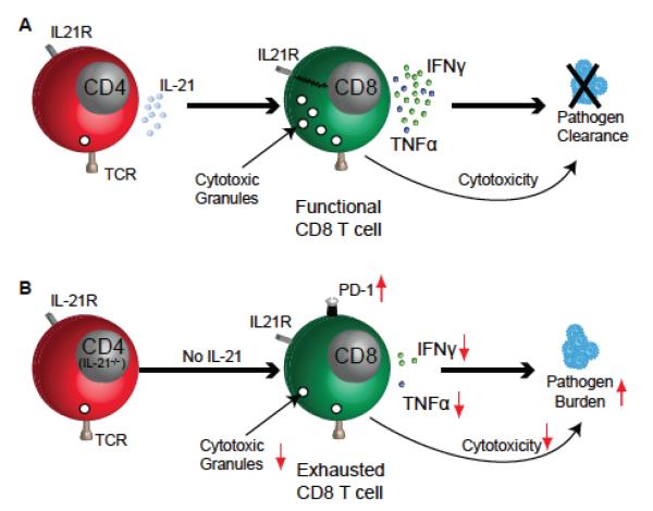 FIGURE 4