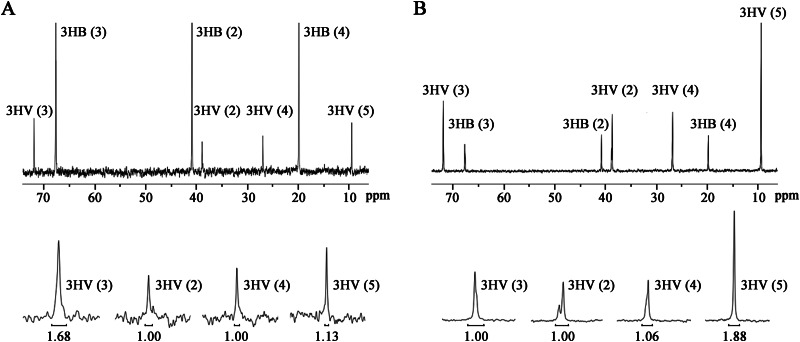 FIG 2