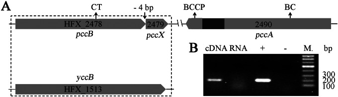 FIG 1