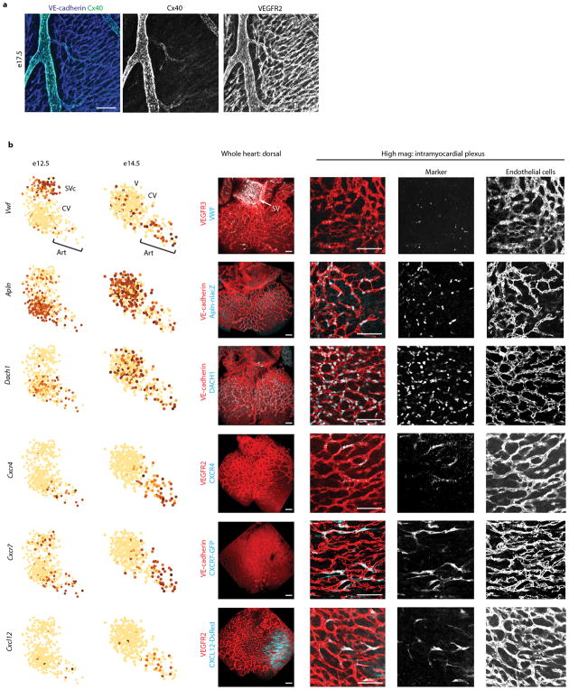 Extended Data Fig. 5