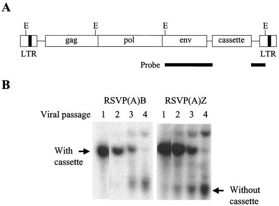 FIG. 6.