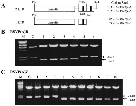 FIG. 2.