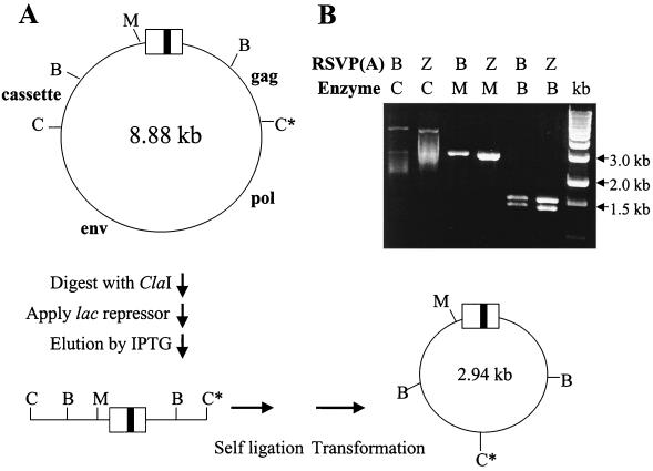 FIG. 5.