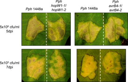 FIG. 6.