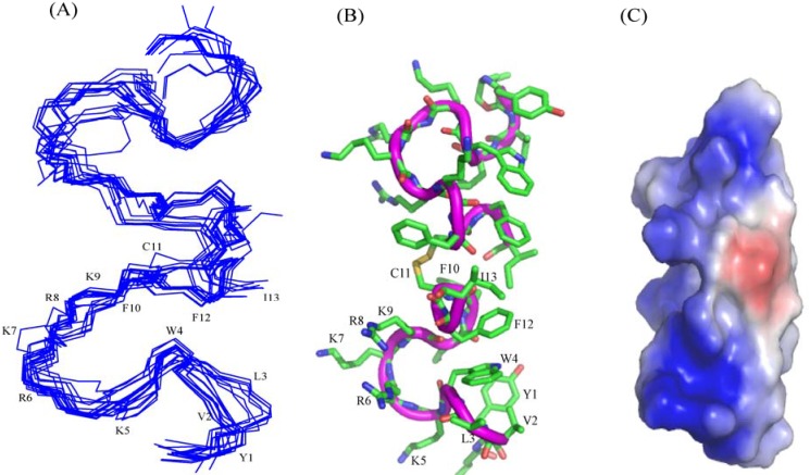 Figure 9