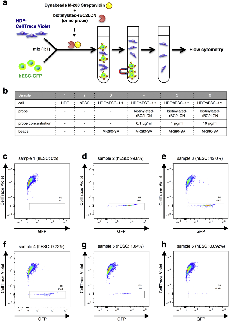 Fig. 1