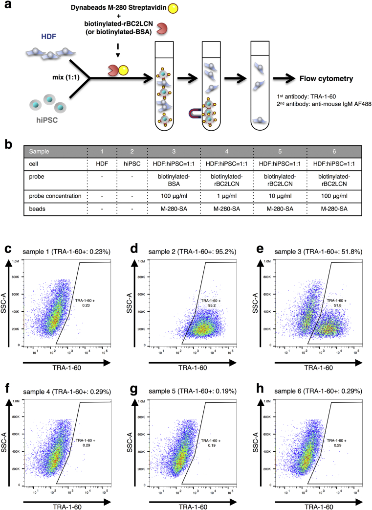 Fig. 2