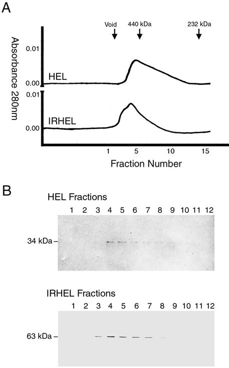 FIG. 7.