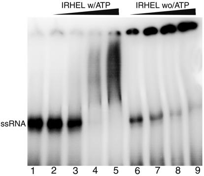 FIG. 5.