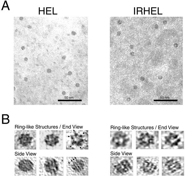 FIG. 8.