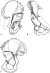Fig. 1A–C