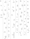 Fig 7