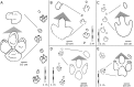 Fig 10