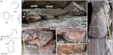Fig 15