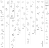 Fig 5