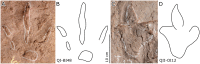 Fig 17