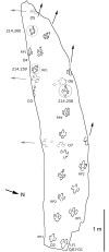 Fig 8