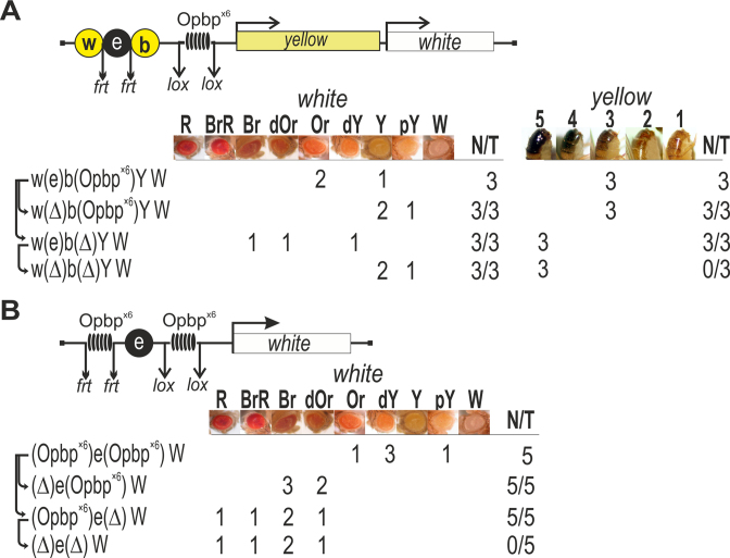 Figure 7.