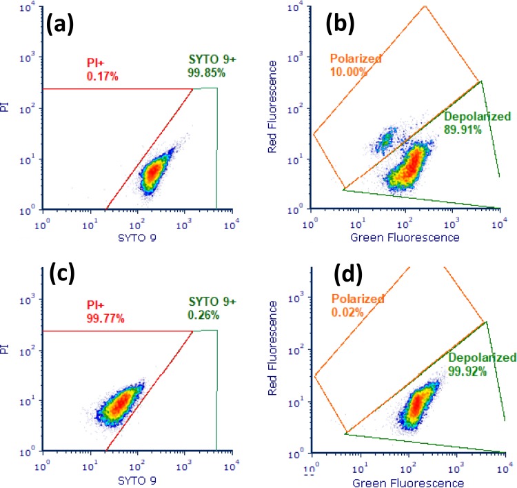 FIG 2