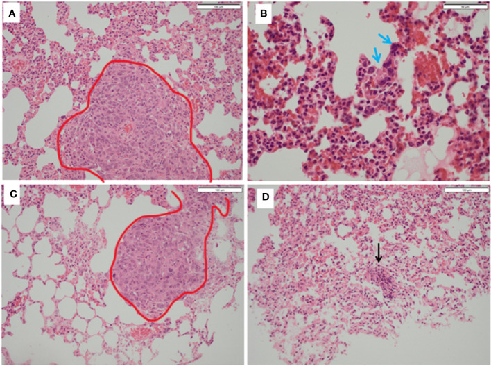 Figure 7