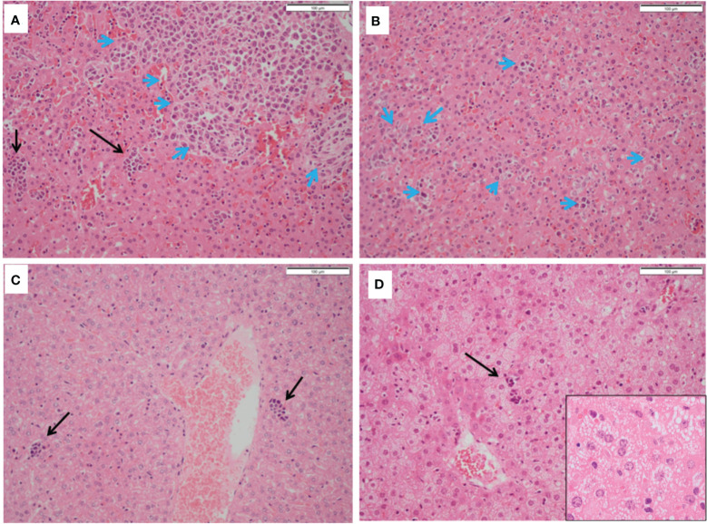 Figure 6