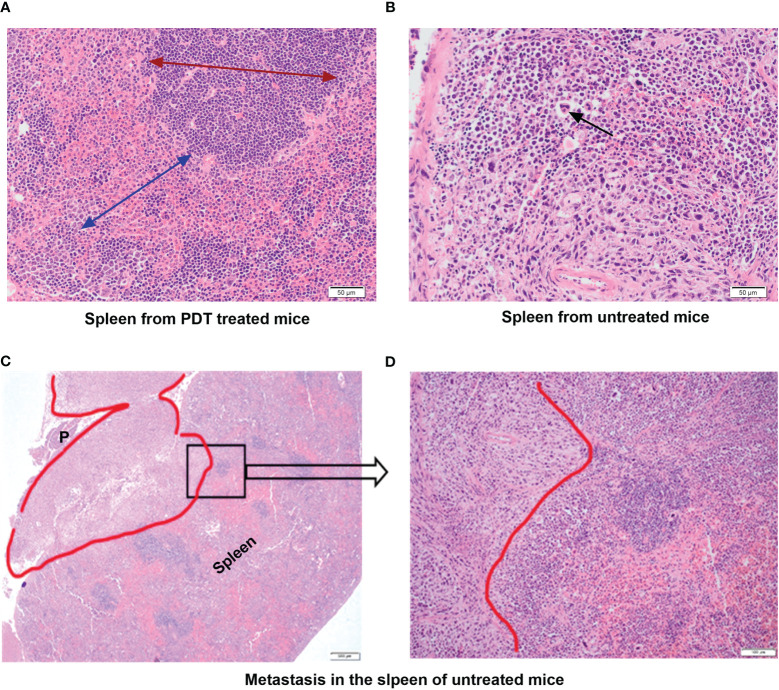 Figure 5