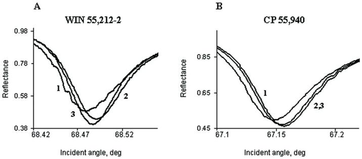 Fig. 10